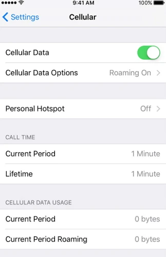 enable cellular data