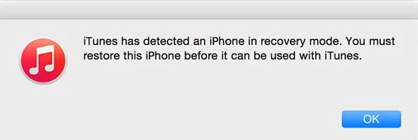 put iphone in recovery mode