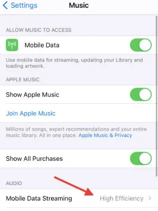 mobile data streaming