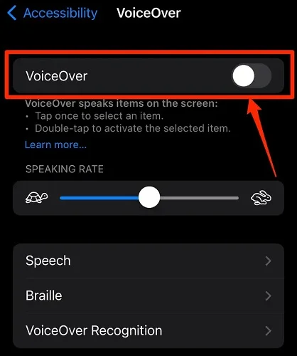 turn off voiceover
