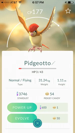 pokemon pidgeotto evolve or power up
