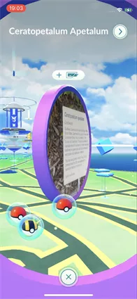 spin pokestops and gyms