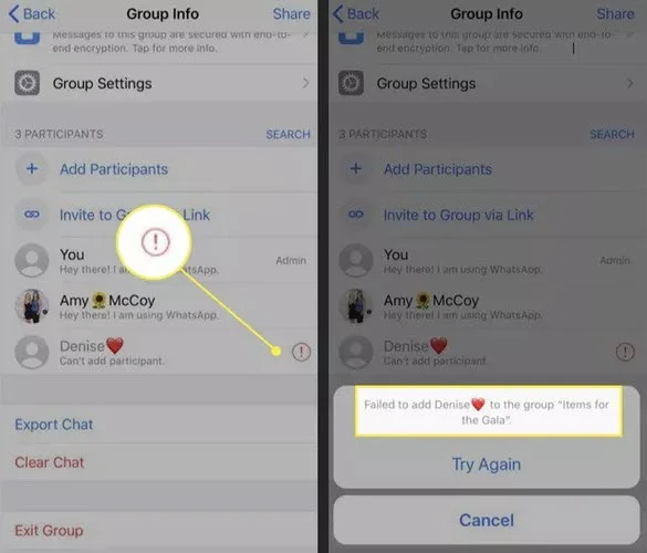cant add participant whatsapp